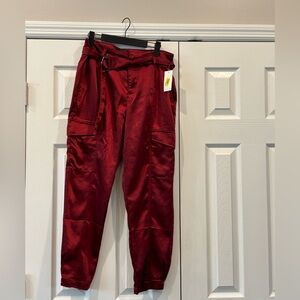 Sanctuary Satin Pants in Wine Red